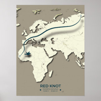 Poster Mapa de Migração do Red Knot - Pássaro Vintage Min