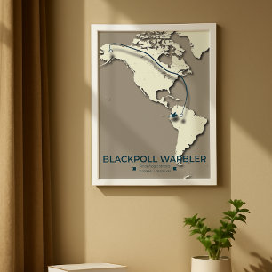 Poster Mapa de Migração do Warbler de Pálpebra Negra - Mi