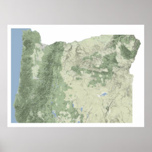 Pôster Mapa de Oregon