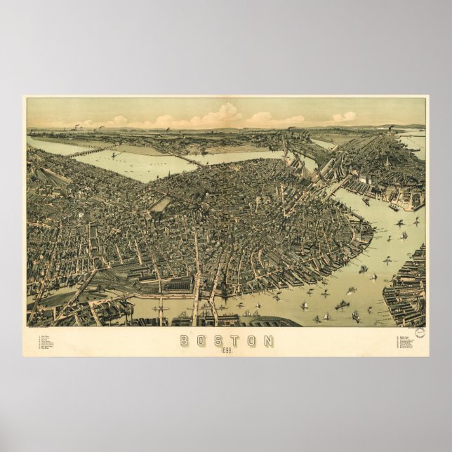 Poster Mapa de pássaros de Boston - 1899 (Walker) BigMapB (Frente)