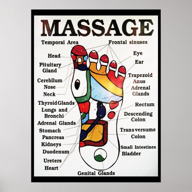 Poster Mapa de Reflexologia ~ Massagem Tailandesa dos Pés (Frente)