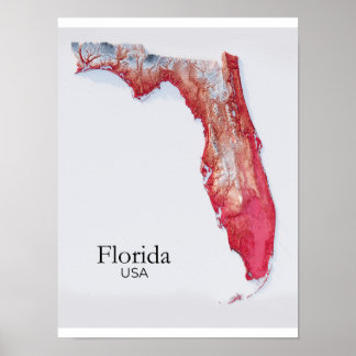 Poster Mapa de Relevo da Flórida Textura Vermelha