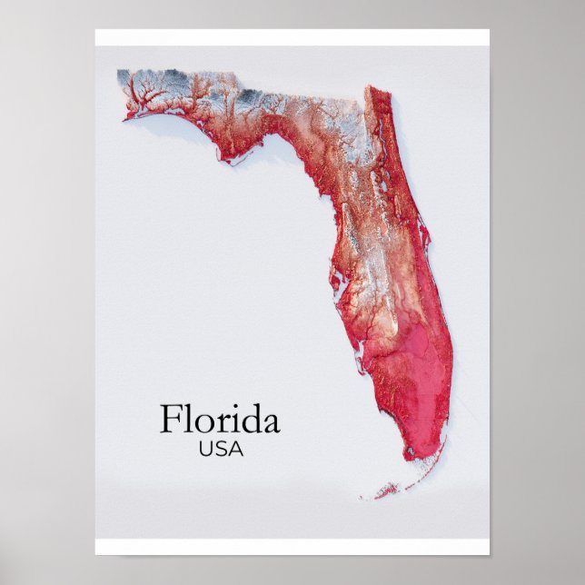 Poster Mapa de Relevo da Flórida Textura Vermelha (Frente)