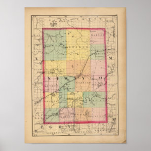 Pôster Mapa do Condado de Newaygo, Michigan