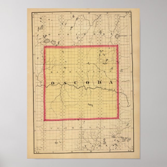 Poster Mapa do Condado de Oscoda, Michigan (Frente)