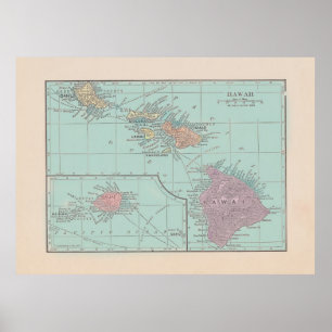 Pôster Mapa do vintage de Havaí - versão da cor