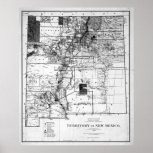 Pôster Mapa do vintage de New mexico (1882) BW