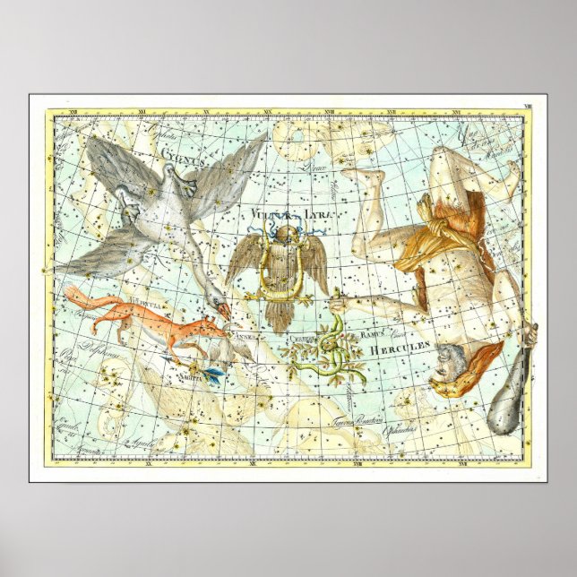 Poster Mapa Estelar Antigo da Constelação de Hércules  (Frente)