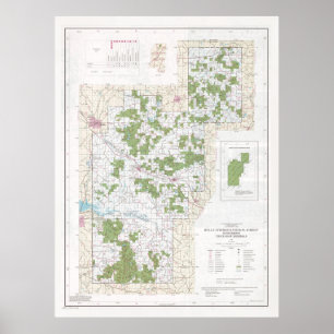 Poster Mapa Florestal Nacional Holly Primaveras (1991)