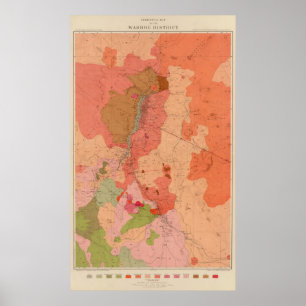 Pôster Mapa Geological do distrito de Washoe