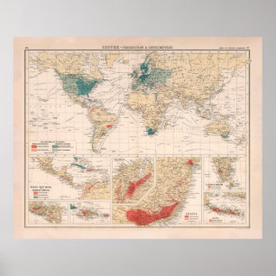 Poster Mapa Mundial da Agricultura e Consumo do Café (19