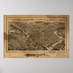 Pôster Mapa panorâmico antigo de Binghamton New York 188