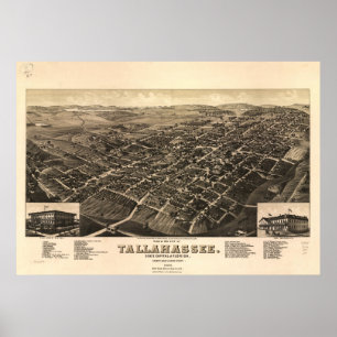 Poster Mapa panorâmico antigo de Tallahassee Florida 188