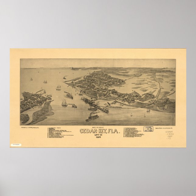 Poster Mapa Panorâmico Cedar Key Florida 1884 (Frente)