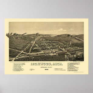 Poster Mapa Panorâmico MI - 1886