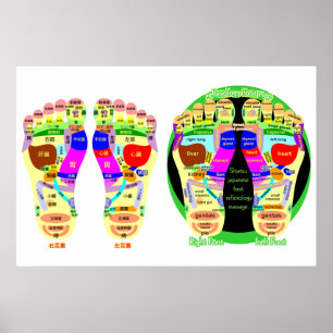 Poster mapa reflexológico