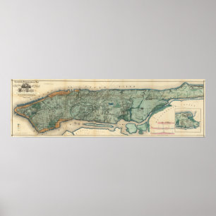 Pôster Mapa sanitário e topográfico da Nova Iorque