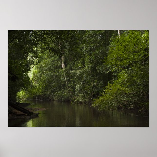 Poster Mapari River, Mapari Rupunununi, Guiana. (Frente)