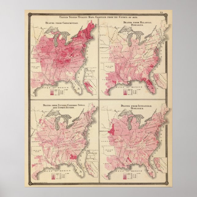 Pôster mapas de vitalidade dos Estados Unidos (Frente)