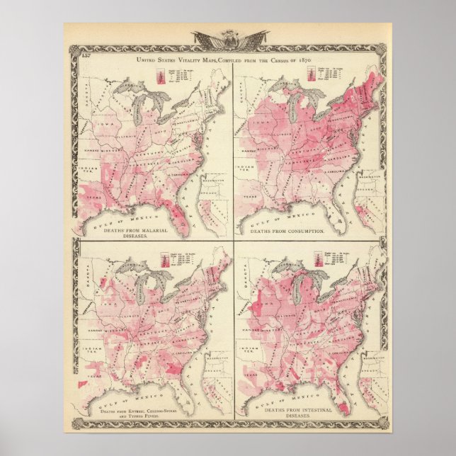 Poster mapas de vitalidade dos Estados Unidos (Frente)