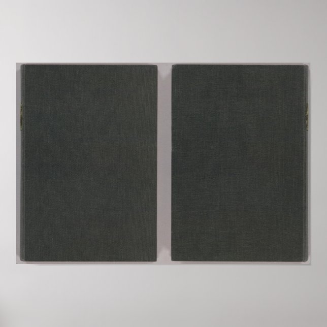 Poster Mapas que acompanham o relatório General Land Offi (Frente)