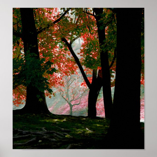 Pôster Mapeamento (Frente)