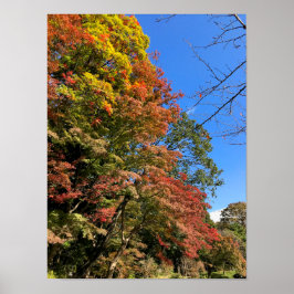 Poster Mapeamentos Coloridos Vibrantes