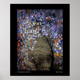 Poster Mapeamentos mistos em uma Piscina de outono