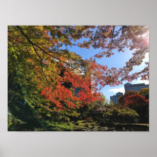 Poster Mapeamentos Vermelhos no Jardim Japonês