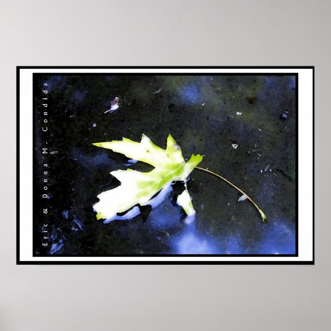 Poster Maple Leaf I (Frente)