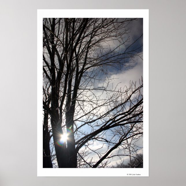 Pôster Maple Sky (Frente)