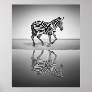 Poster Mar da liberdade