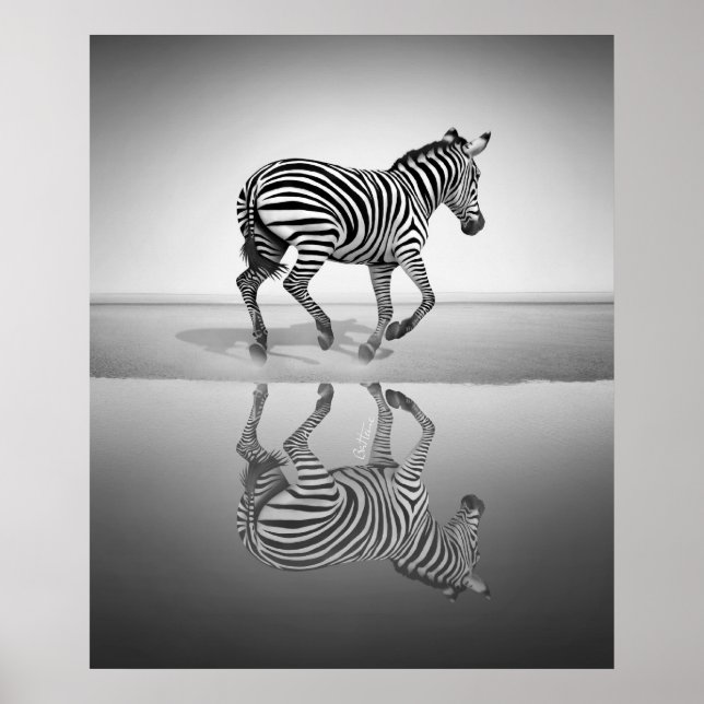 Poster Mar de Liberdade (Frente)