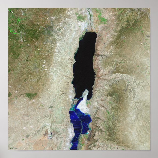 Pôster Mar de Morto (Frente)