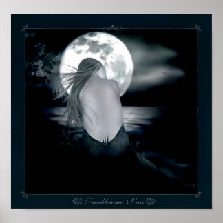 Pôster Mar problemático