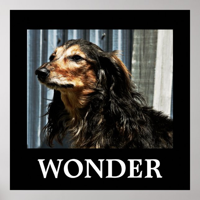 Poster Maravilha (Frente)