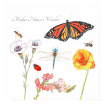 Maravilhas da Mãe Natureza