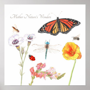 Poster Maravilhas da Mãe Natureza