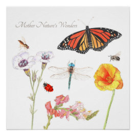 Pôster Maravilhas da Mãe Natureza