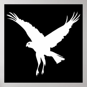 Poster Márbaro voador