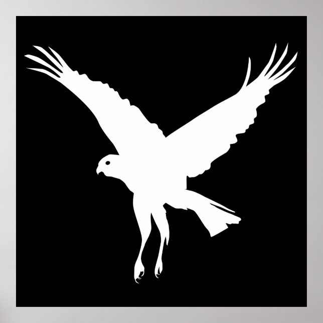 Poster Márbaro voador (Frente)