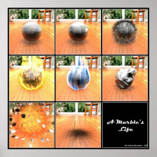 Pôster Marble's Life