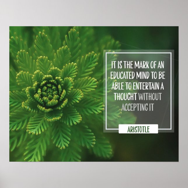 Poster Marca De Uma Mente Educada (Frente)