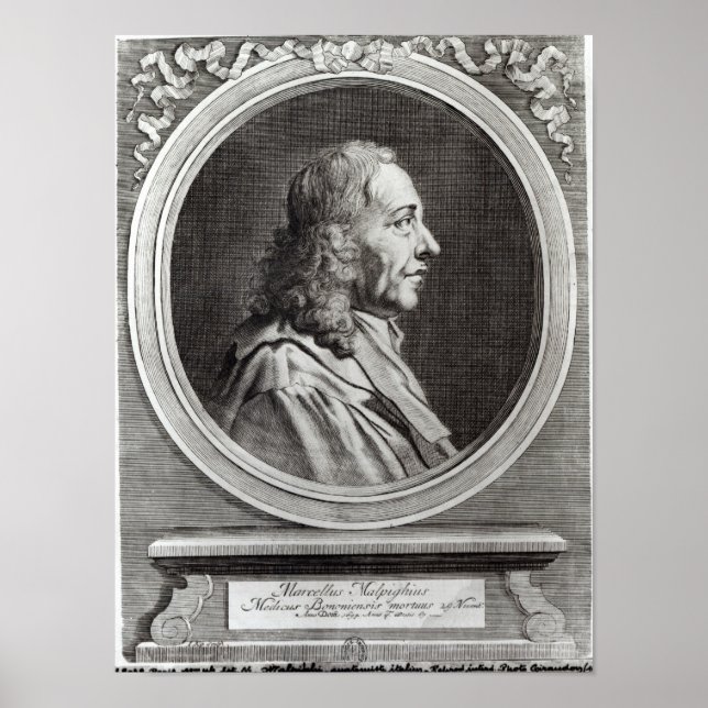 Pôster Marcello Malpighi, 67 anos, 1694 (Frente)