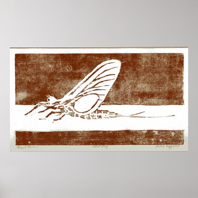 Pôster March Brown May Fly (Frente)