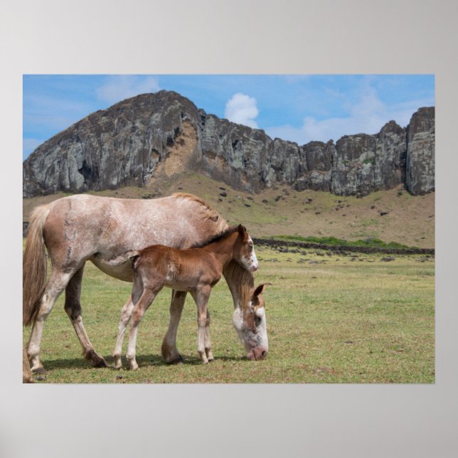 Poster Mare & Colt na Cratera Vulcânica de Rano Raraku (Frente)