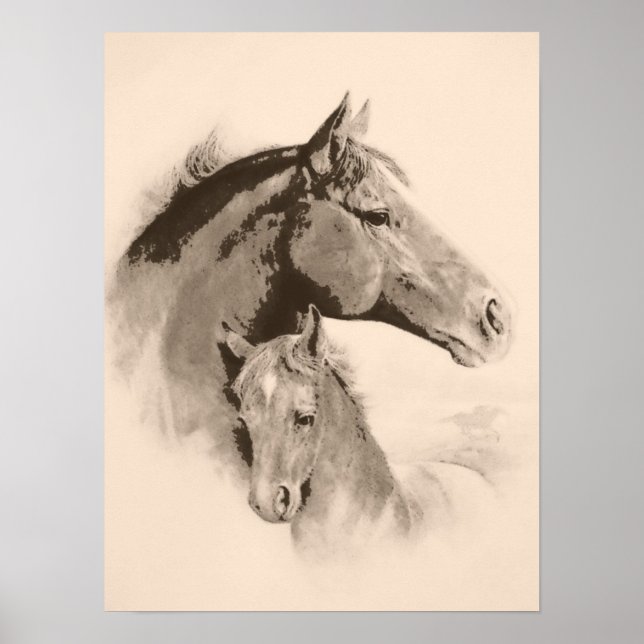 Poster Mare-n-Foal com efeito carvão-tint (Frente)