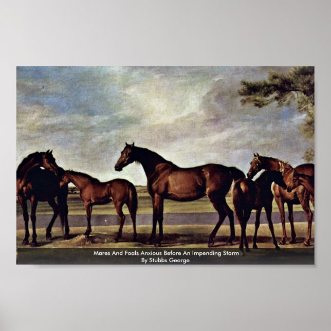 Pôster Mares E Raios Ansiosos Antes De Uma Tempestade Imi (Frente)