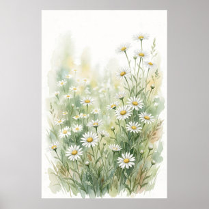 Poster Margarida Branca Silvestre Aquarela
