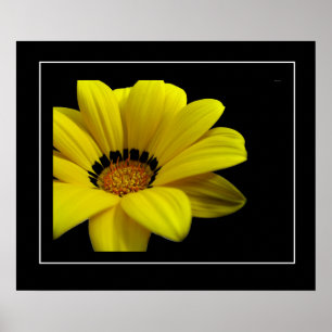 Poster Margarida poster-Amarela